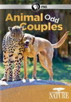 Animal_odd_couples