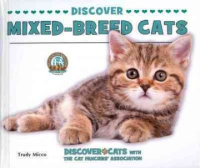 Discover_mixed-breed_cats