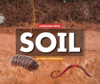 Looking_into_soil
