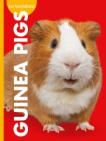 Curious_about_guinea_pigs