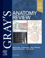 Gray_s_anatomy_review