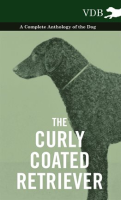 The_Curly_Coated_Retriever