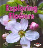 Exploring_flowers