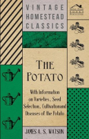 The_Potato