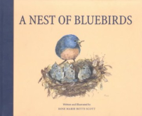 A_Nest_of_Bluebirds