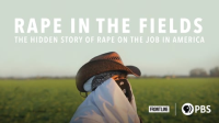 FRONTLINE_-_Rape_in_the_Fields
