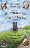 The_Arduous_Case_of_the_Lost_Princess
