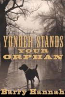 Yonder_stands_your_orphan