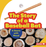 The_story_of_a_baseball_bat