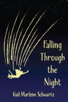 Falling_through_the_night