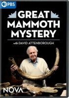 Great_mammoth_mystery