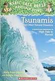 Tsunamis_and_other_natural_disasters